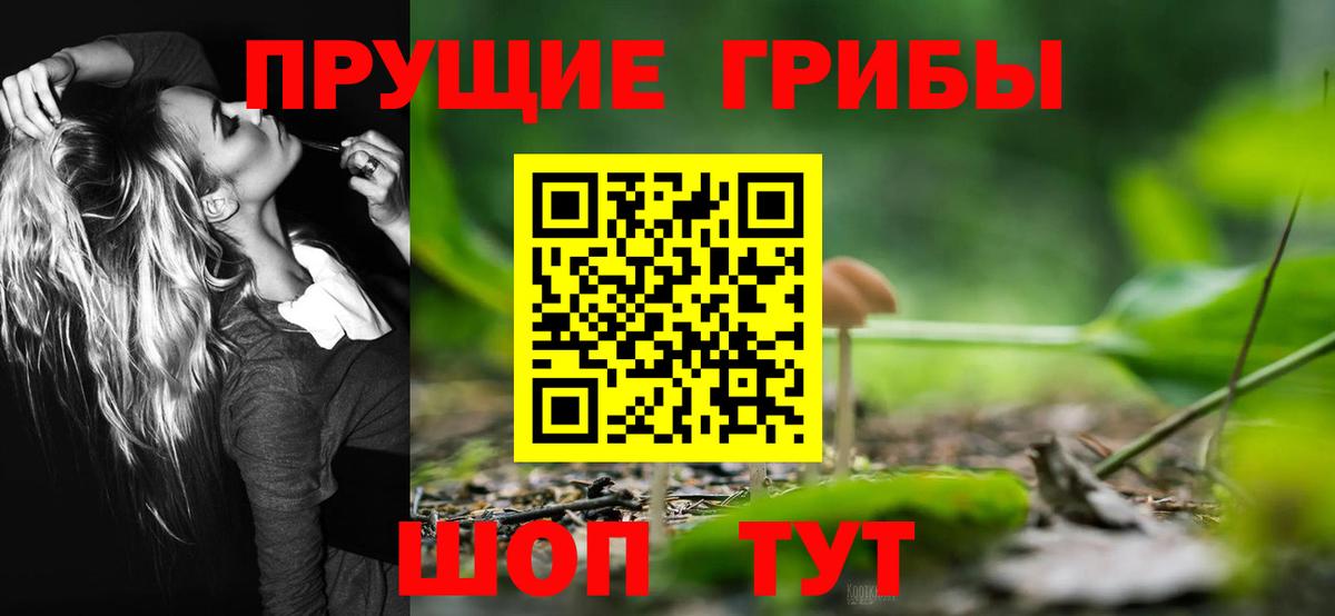 Псилоцибиновые грибы прущие грибы  Вход с VPN  Советская Гавань 